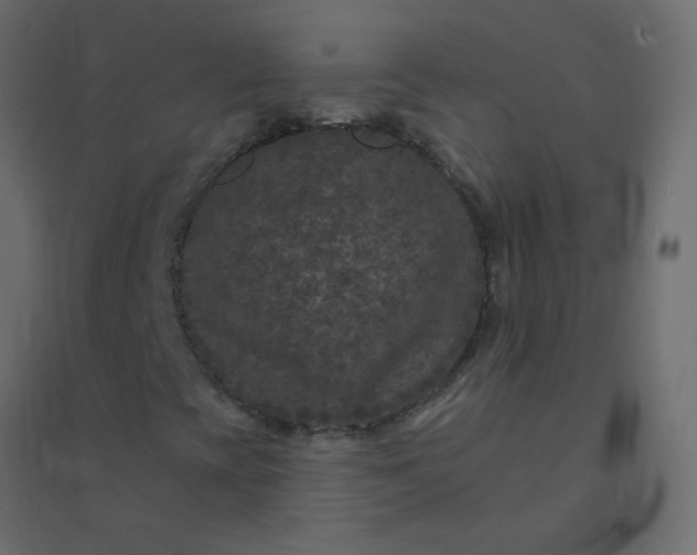 X0000094941393200712131549