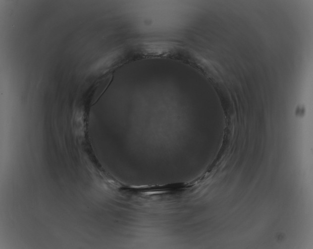 X0000094941394200712131549