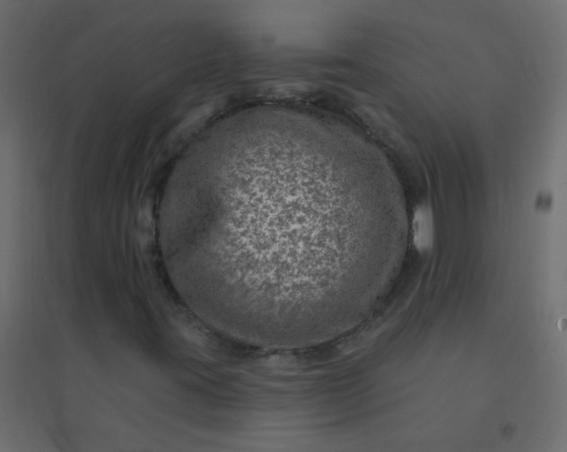 X0000094941395200712131549