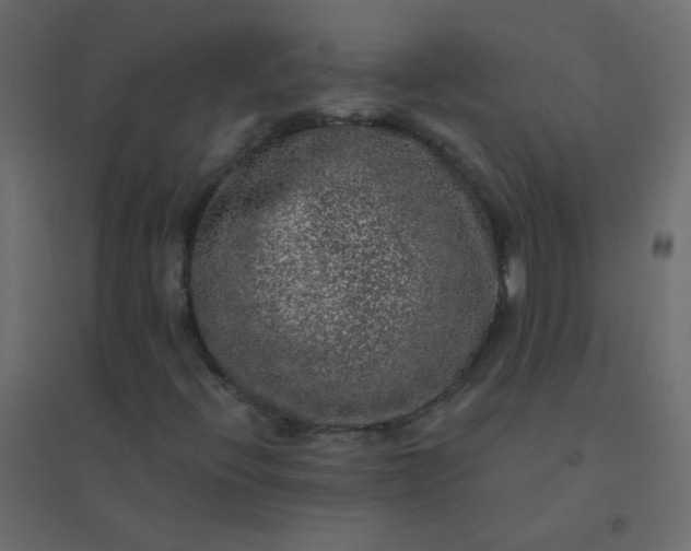 X0000094941396200712131549