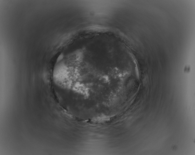 X0000094941397200712131549