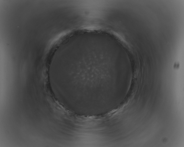 X0000094941398200712131549