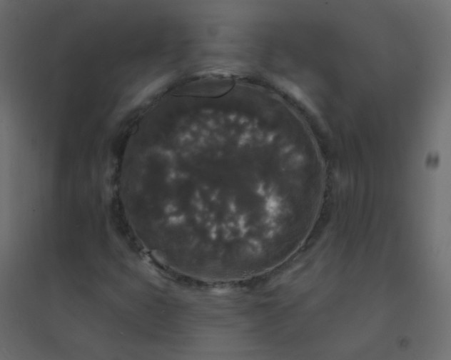 X0000094941399200712131549