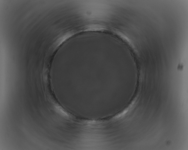 X0000094941401200712131550