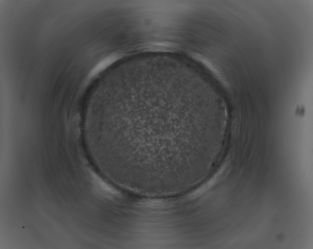 X0000094941402200712131550