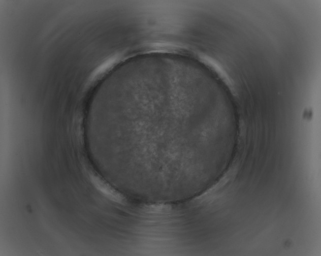 X0000094941403200712131550