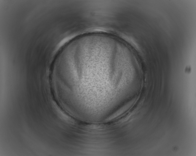 X0000094941404200712131550