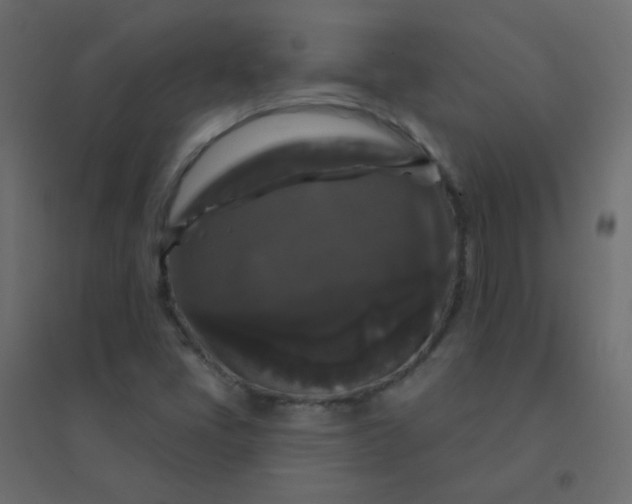 X0000094941405200712131550