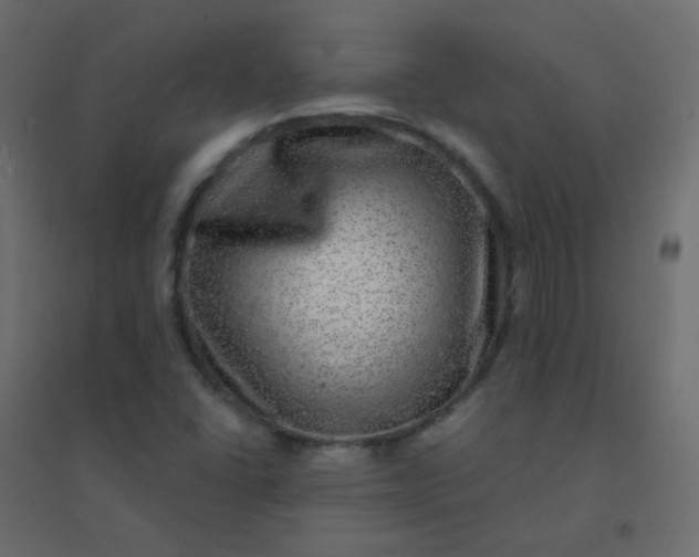 X0000094941406200712131550