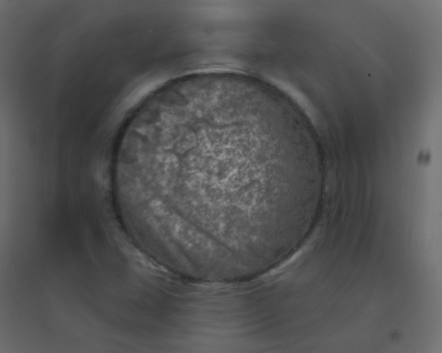 X0000094941407200712131550