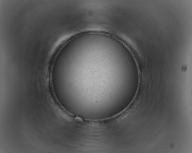 X0000094941408200712131550