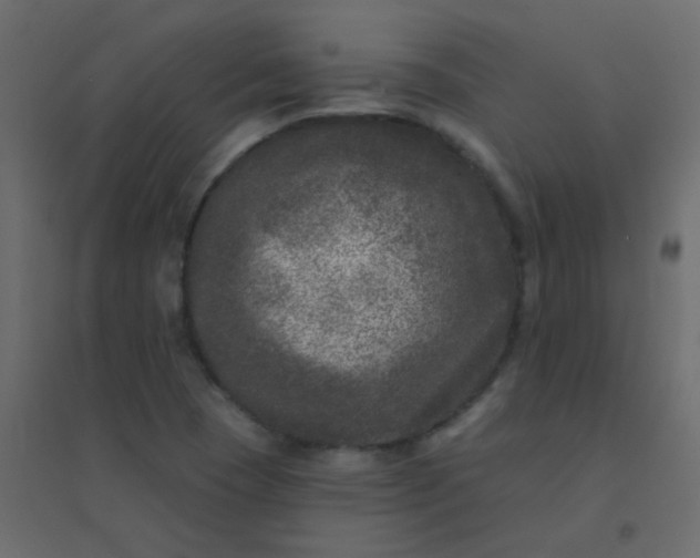 X0000094941409200712131550