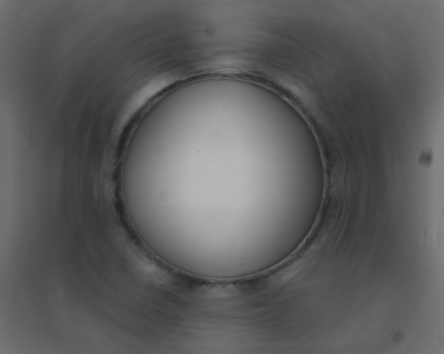 X0000094941410200712131550