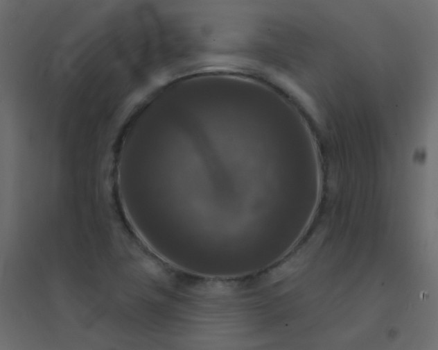 X0000094941411200712131550