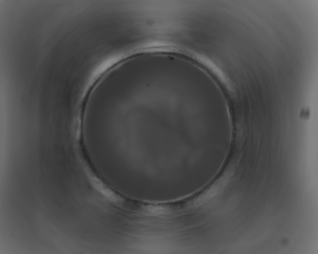 X0000094941413200712131550