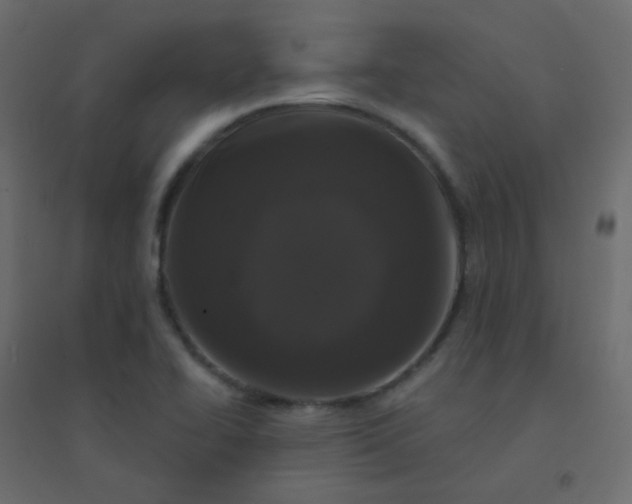 X0000094941414200712131550