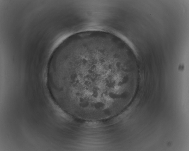 X0000094941415200712131550