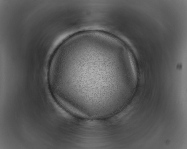 X0000094941416200712131550