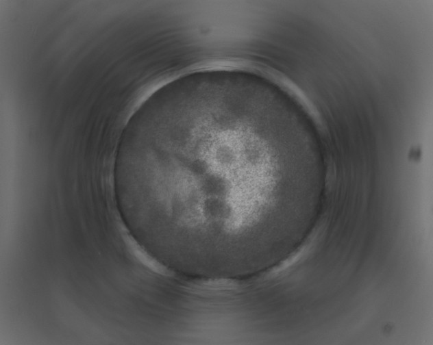 X0000094941417200712131550