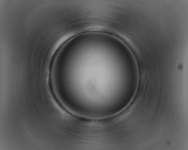 X0000094941418200712131550