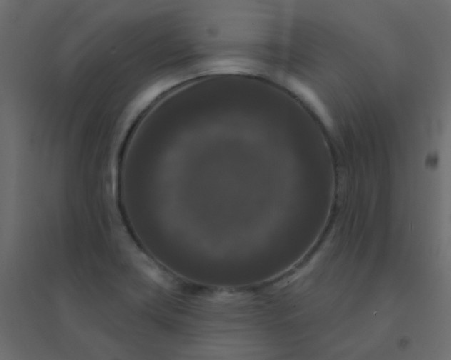 X0000094941419200712131550