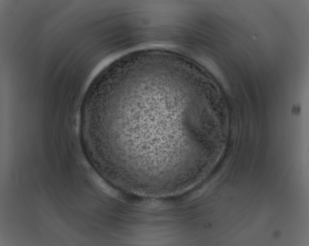 X0000094941420200712131550