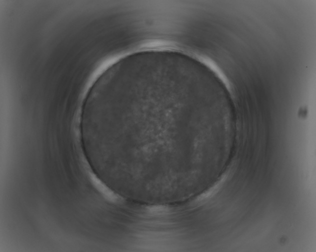 X0000094941421200712131550