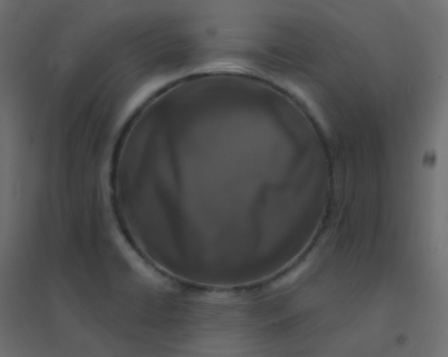 X0000094941422200712131550