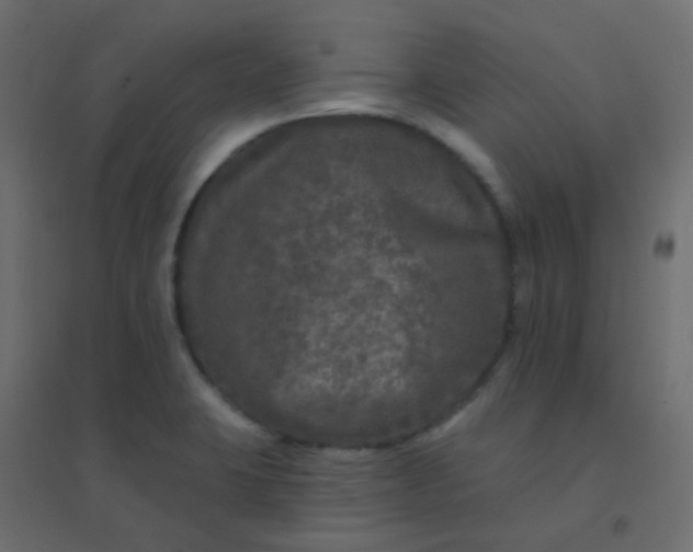 X0000094941423200712131550