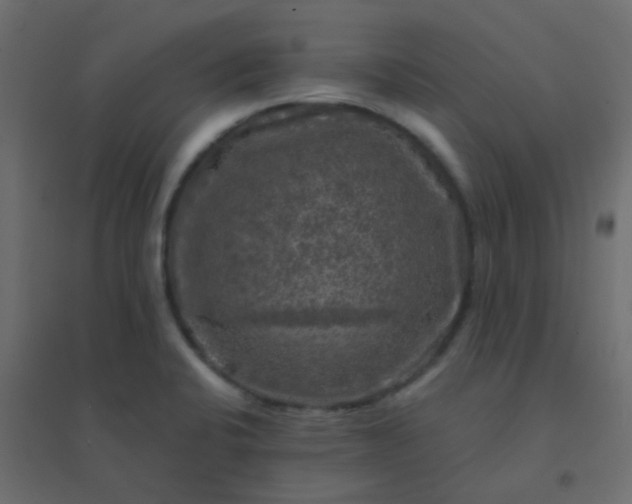 X0000094941424200712131550