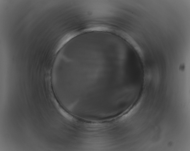 X0000094941425200712131550