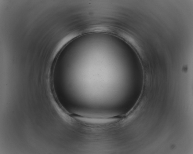 X0000094941426200712131550