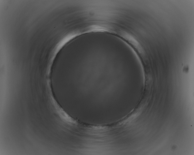 X0000094941427200712131550