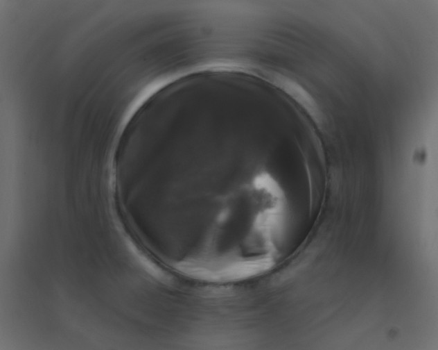 X0000094941428200712131550