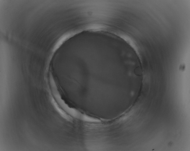 X0000094941429200712131550