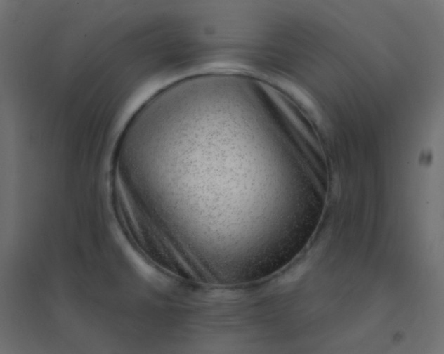 X0000094941430200712131550