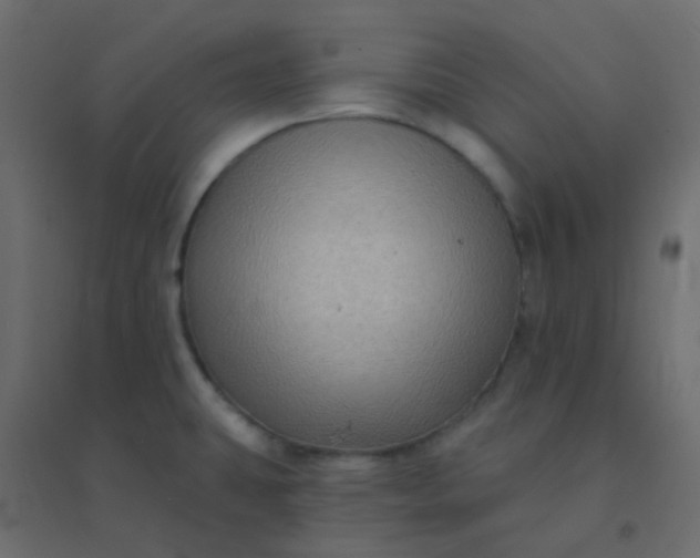 X0000094941431200712131550