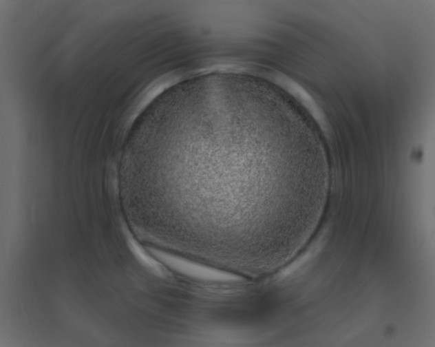 X0000094941433200712131550