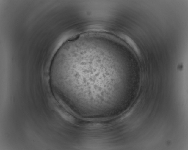 X0000094941435200712131550