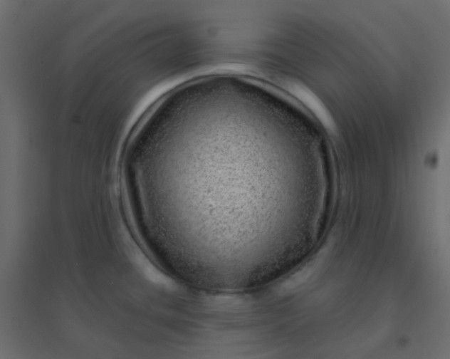 X0000094941436200712131550