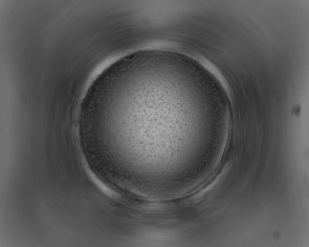 X0000094941437200712131550