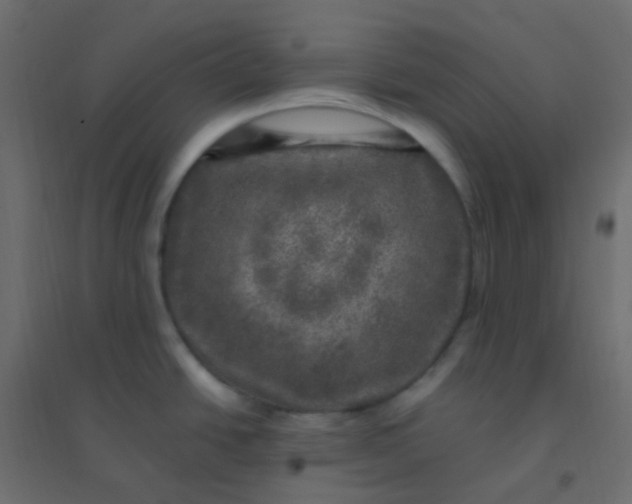 X0000094941438200712131550