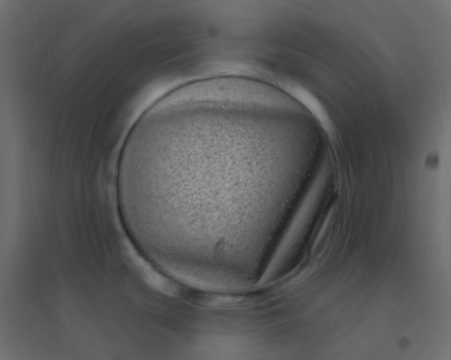 X0000094941439200712131550