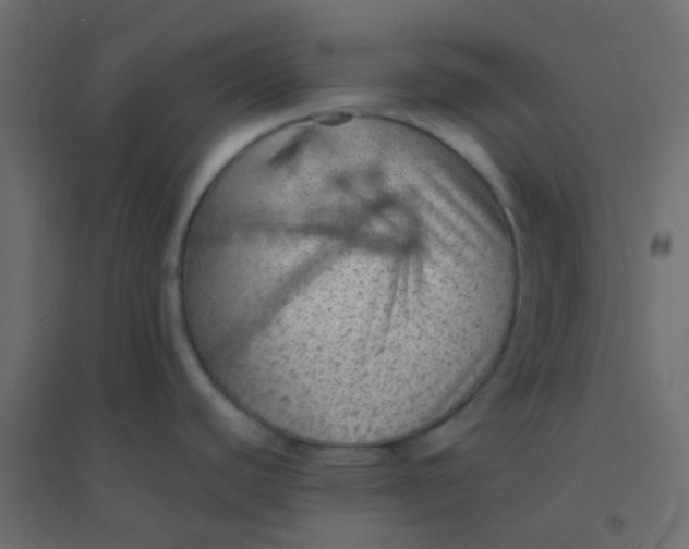 X0000094941440200712131550