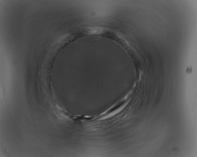 X0000094941441200712131549