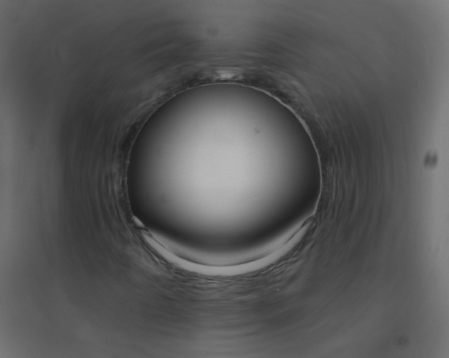 X0000094941442200712131549