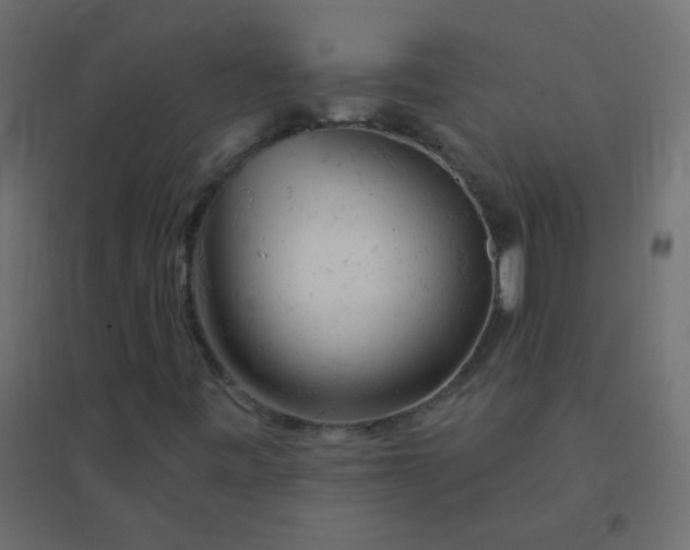 X0000094941443200712131549