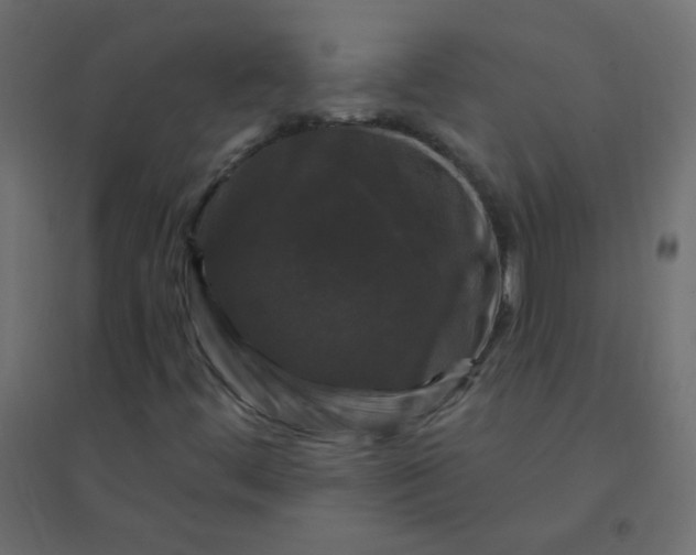 X0000094941444200712131549