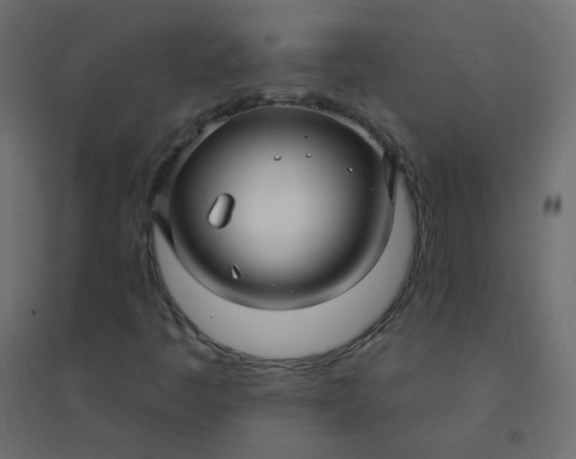 X0000094941445200712131549