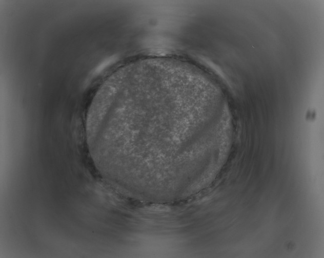 X0000094941446200712131549